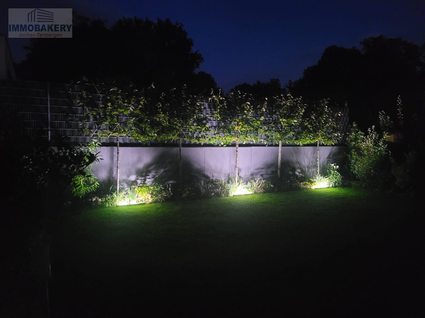 Garten bei Nacht