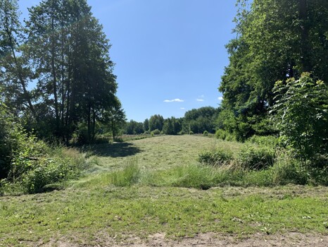 Grundstück Jesteburg