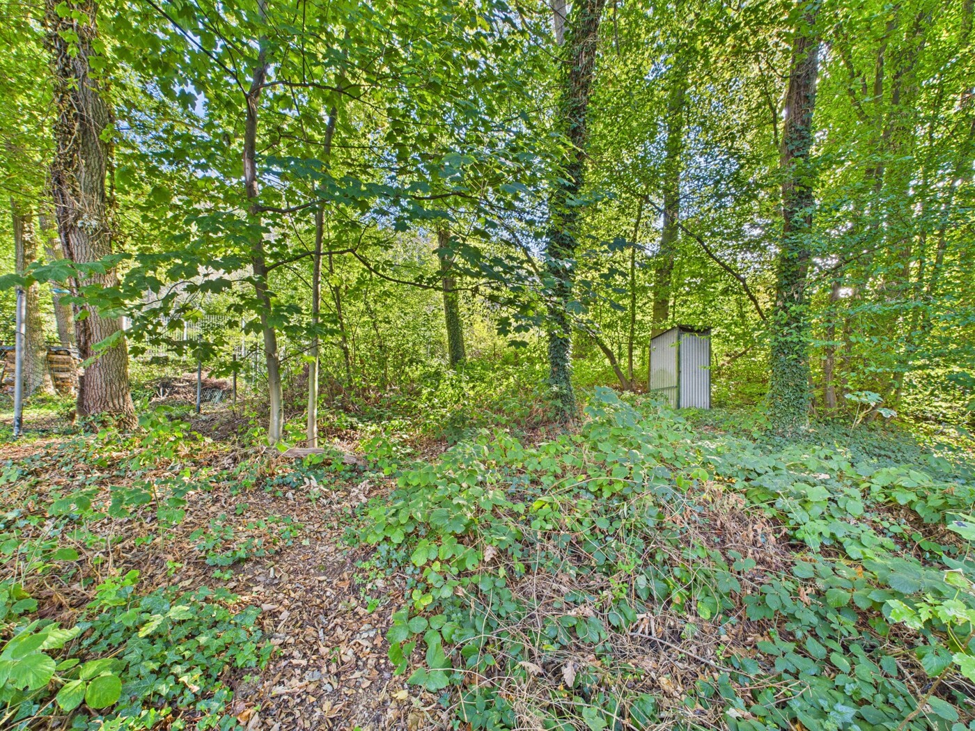 Waldgarten 