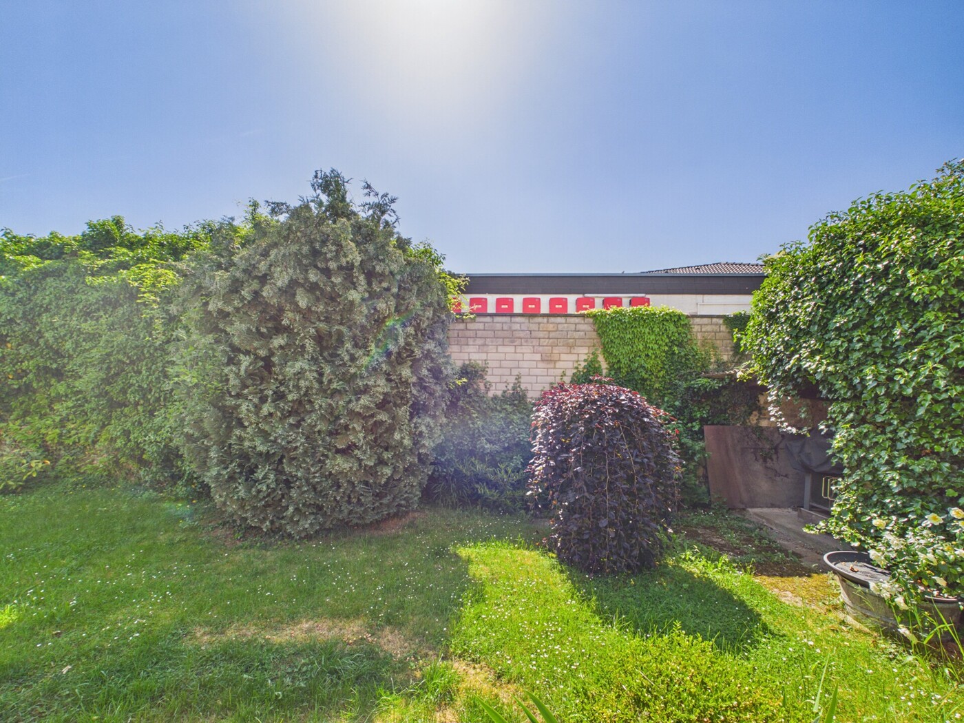 Garten 