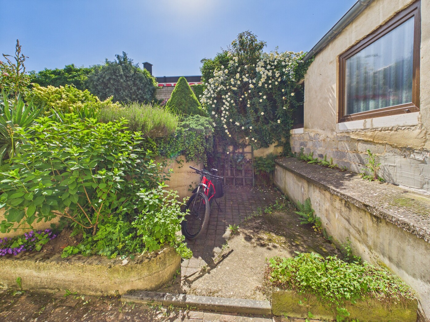 Terrasse 2