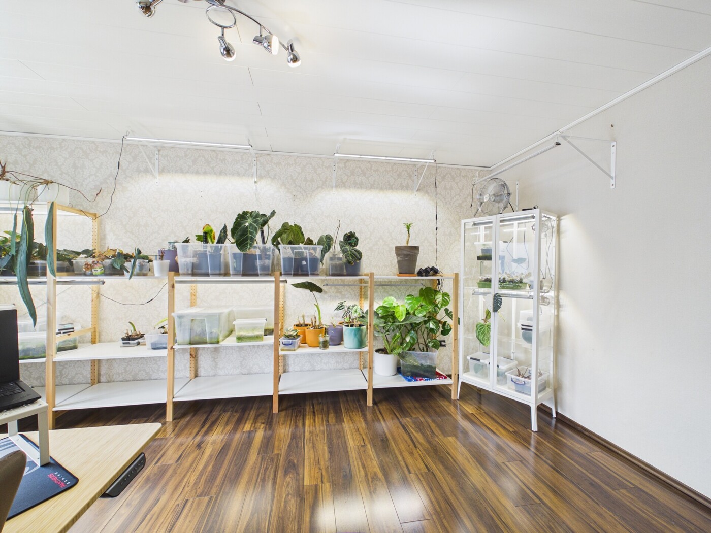 Wohnzimmer WHG 4
