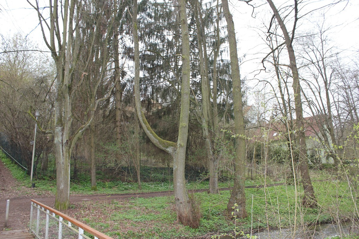 Real Estate Title Image Background