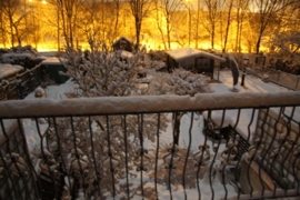 Aussicht vom Balkon