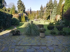 Terrassenblick in den Garten