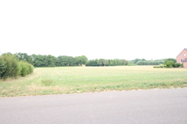 Ausblick auf das Feld