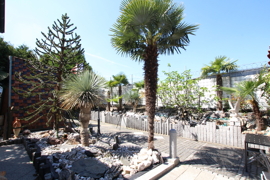 Gartenanlage