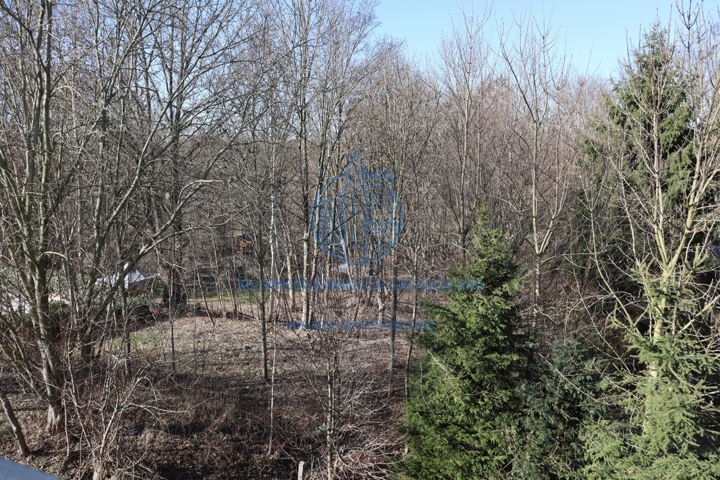 zugehörige Waldflächen (im Frühling)
