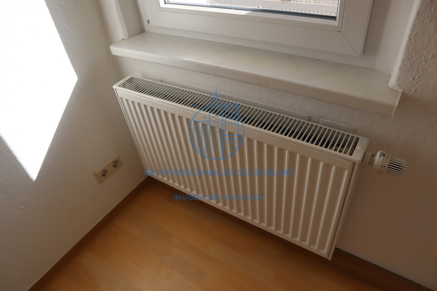 Heizungsanlage mit Flachheizkörpern