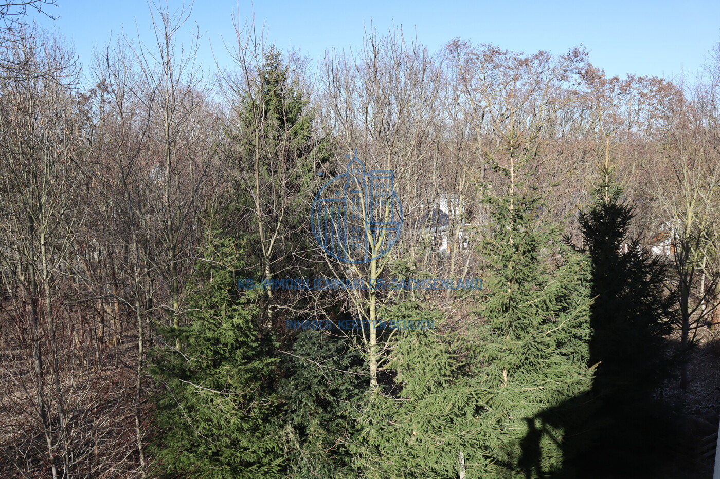 zugehörige Waldflächen (im Frühling)