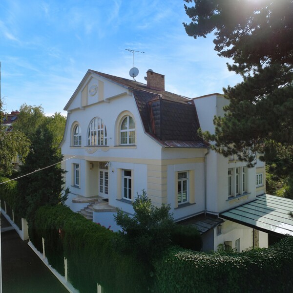 drohne 1