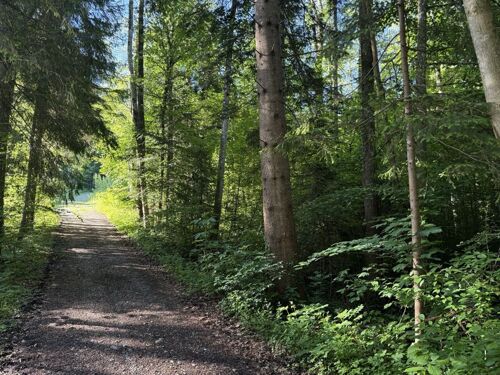 Weg an der Ostgrenze
