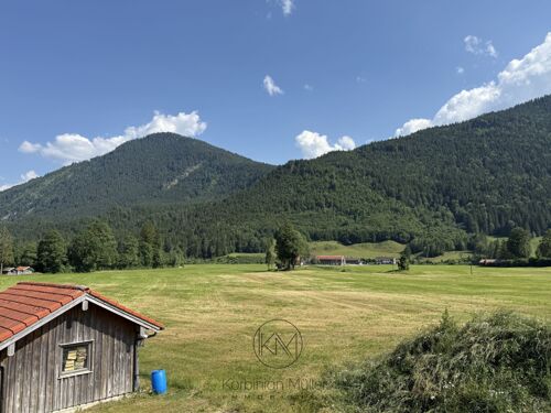 Ausblick
