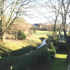 Blick aus dem Wohnzimmer