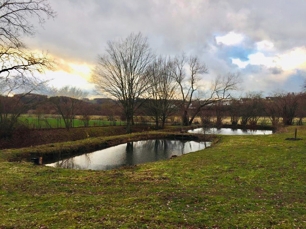 Unterer Teil des grundstücks mit Teichanlage