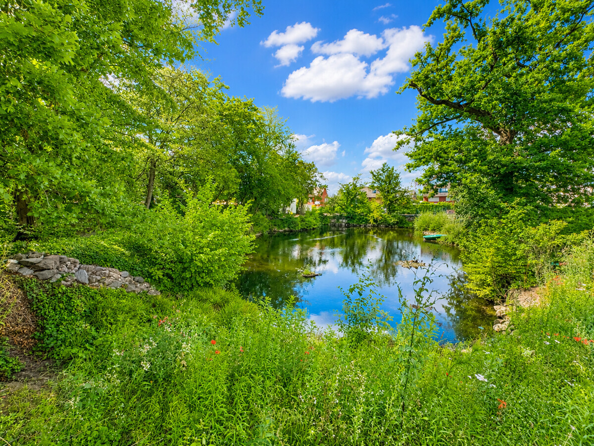 Teich
