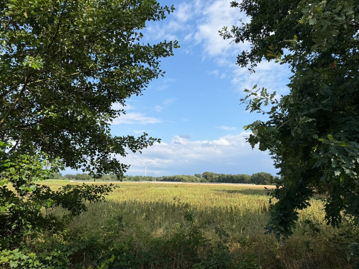 Umgebung