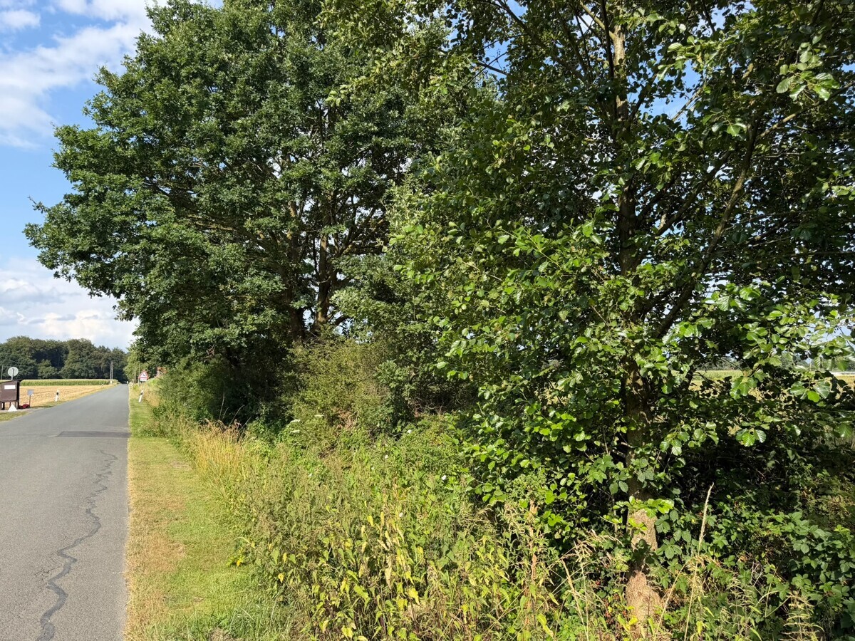 Zufahrt/Umgebung