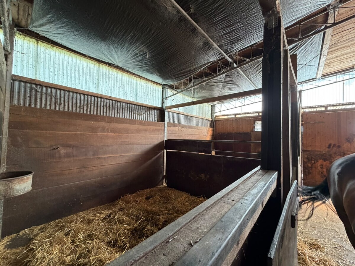 Stall