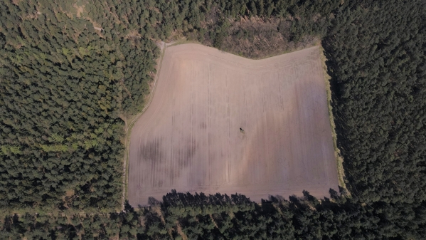 DJI_0334
