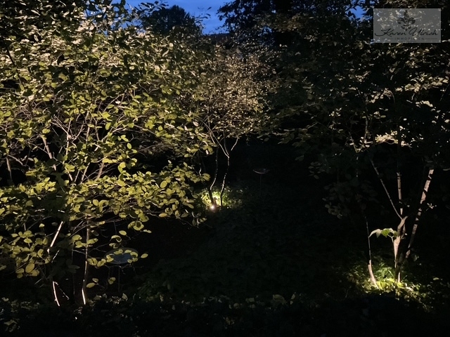 Nachtfoto (1)