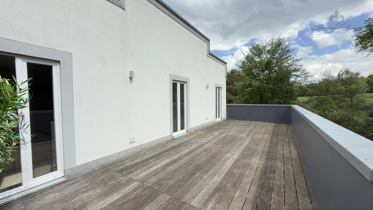 Dachterrasse 1