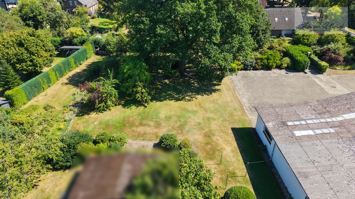 Garten (5)