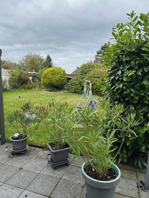 c749aa9d 4d84 43c6 83d5 76560a9d9232