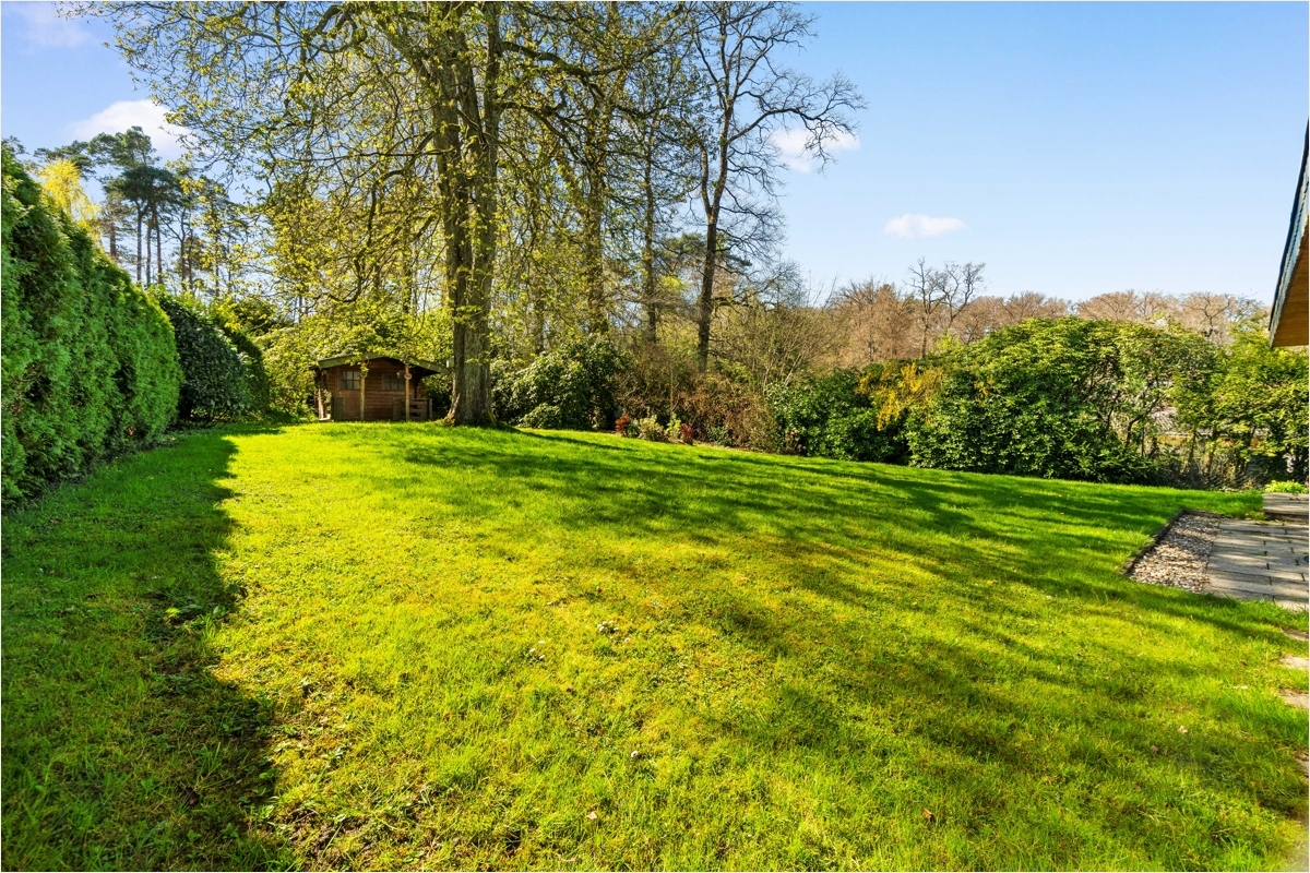 Peter Dondorf Immobilien - Garten