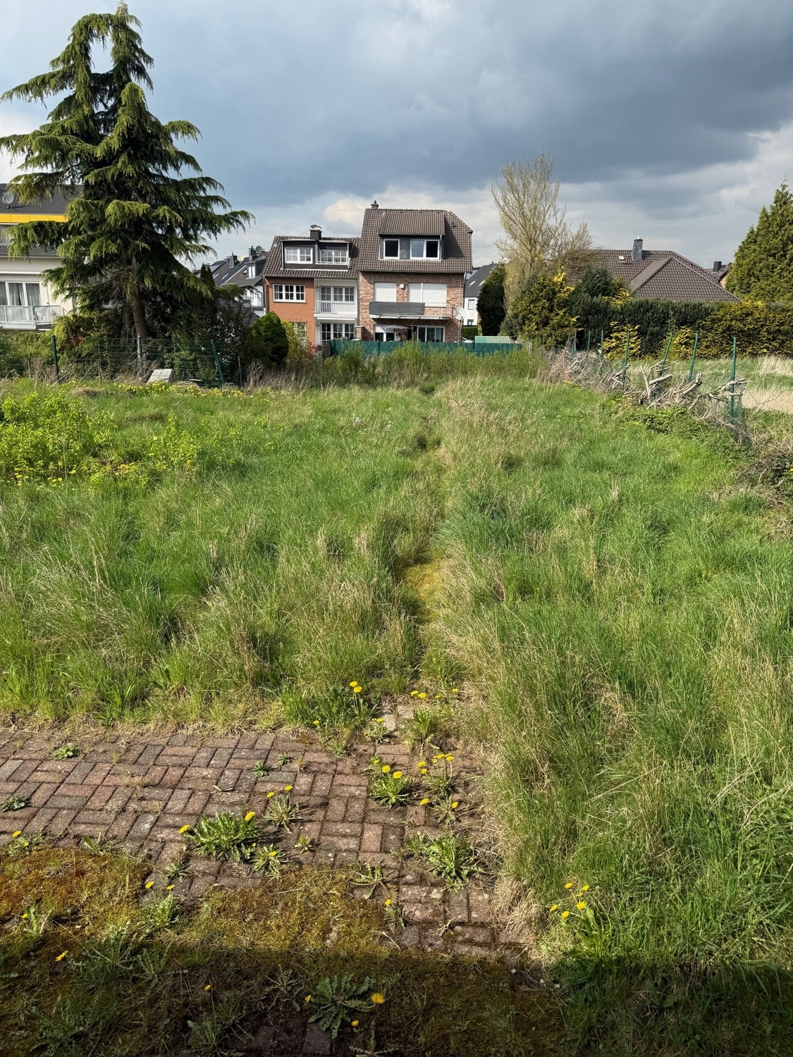 Garten hinter der Halle