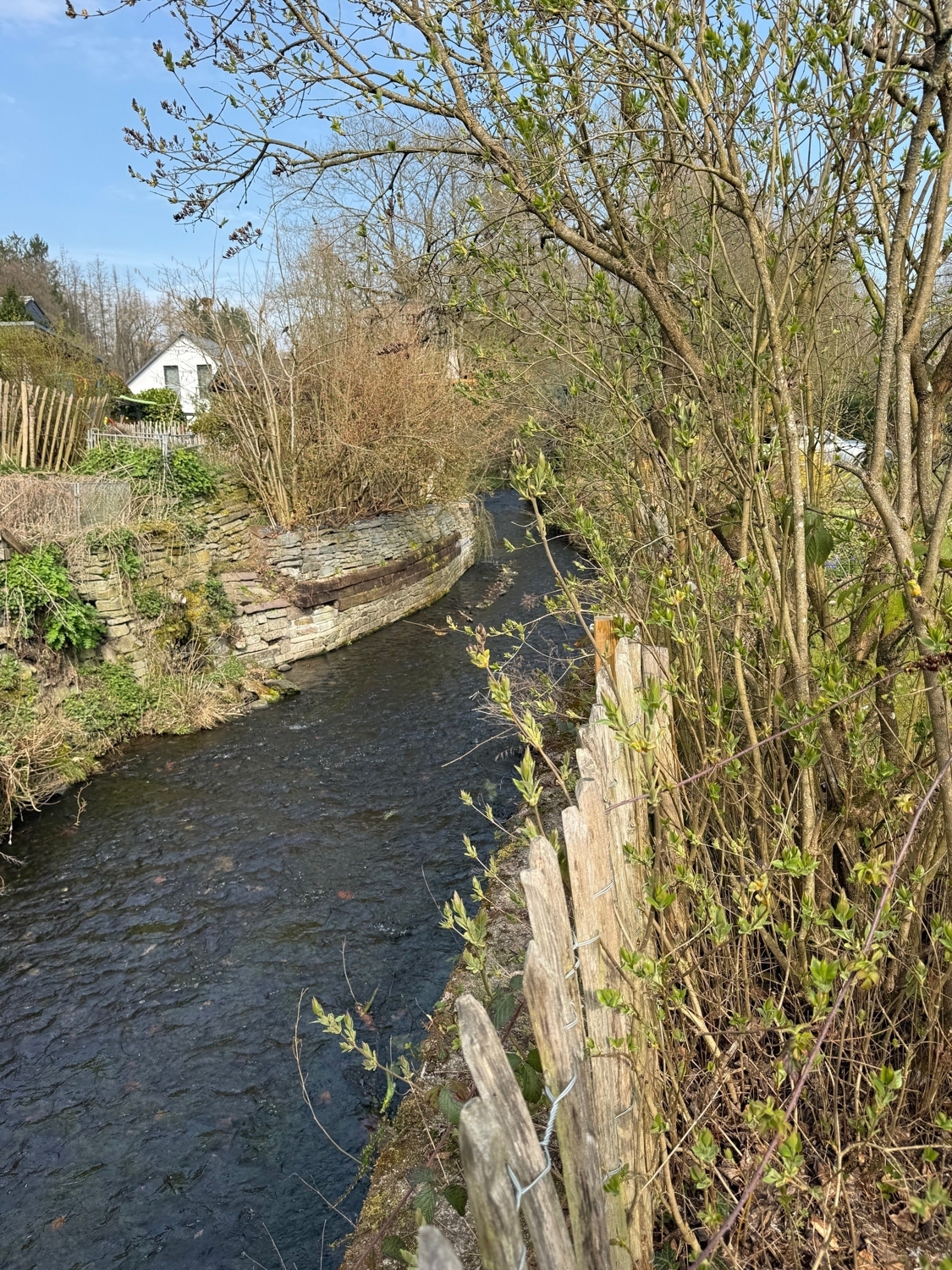 Angrenzender Wehebach