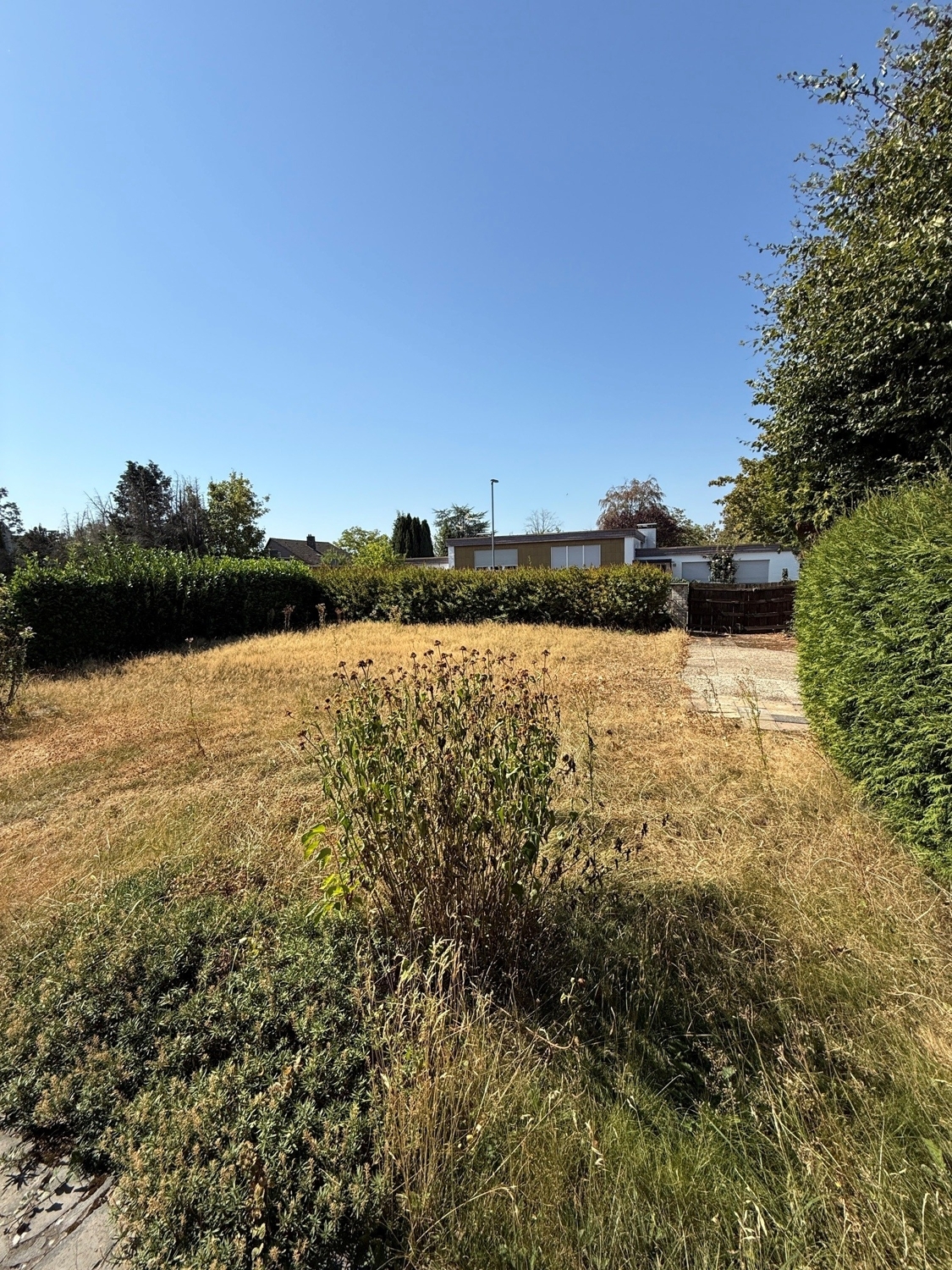 Garten Bild 2