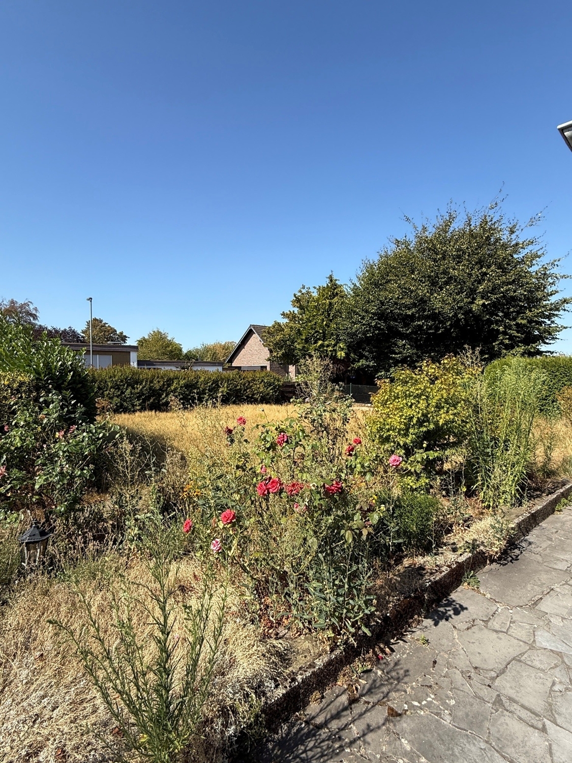 Garten Bild 1