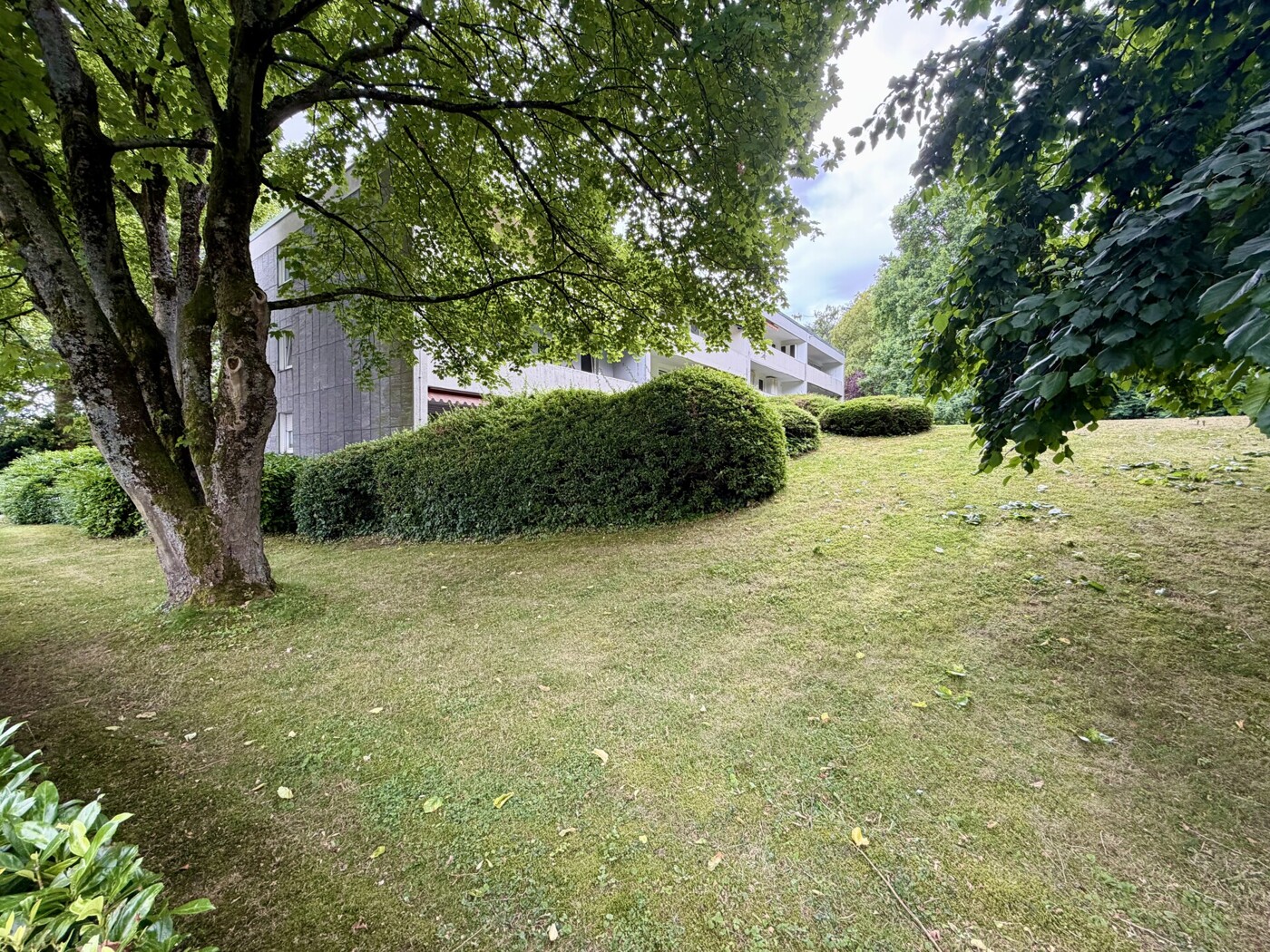 Rückansicht