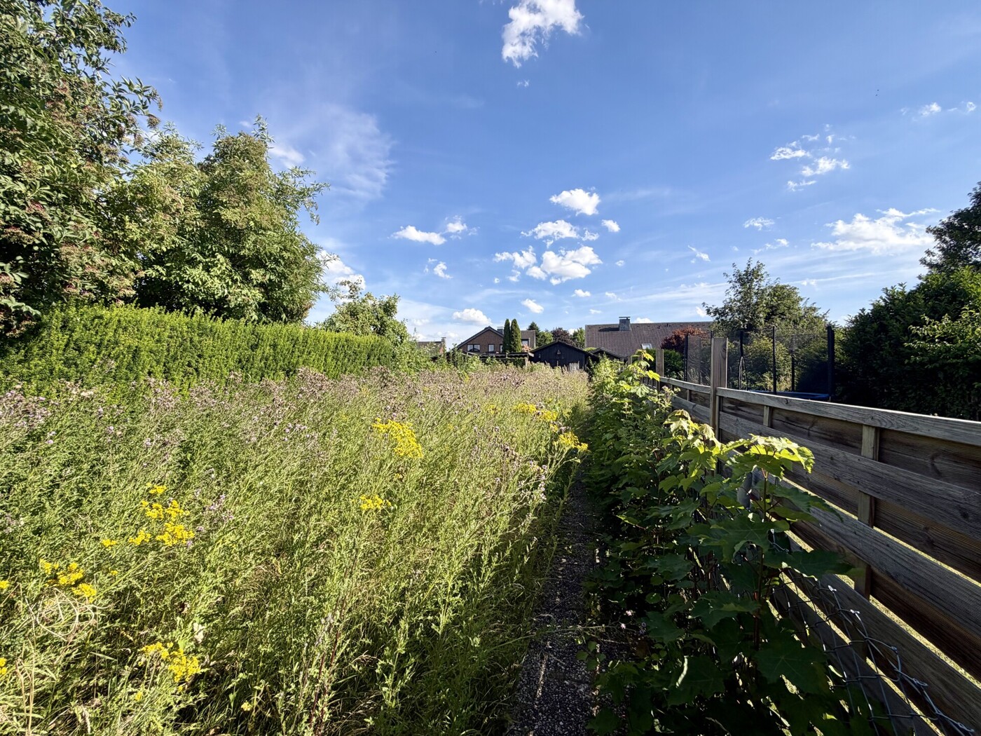 Gartenteil 2