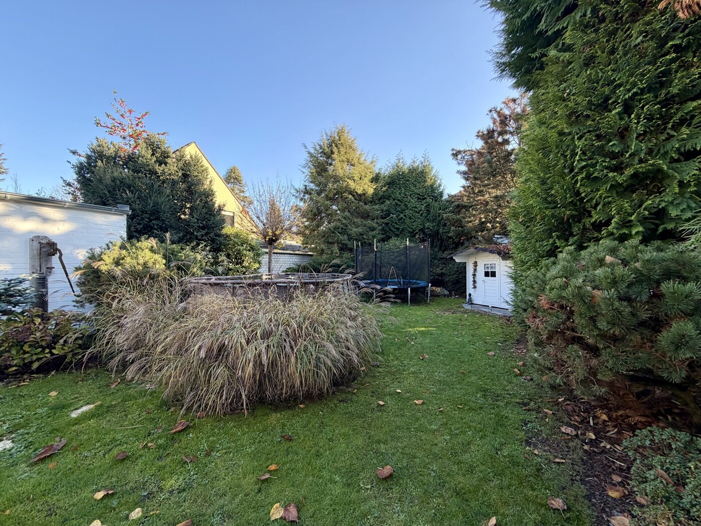 Impression Garten