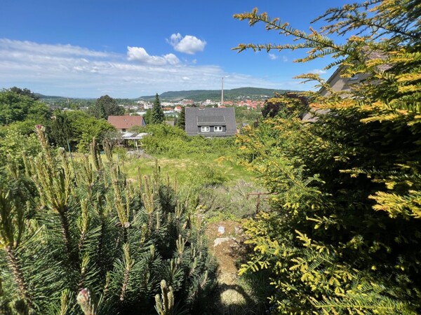 Ausblick