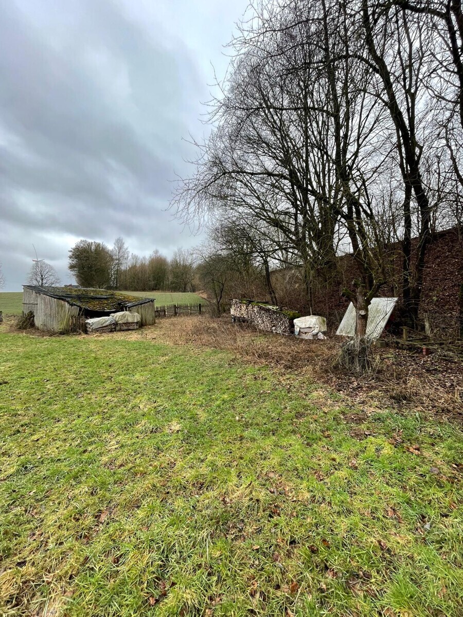 WhatsApp Image 2026-02-23 at 14.05.26 (4)