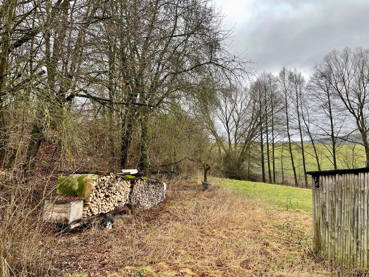 WhatsApp Image 2026-02-23 at 14.05.26