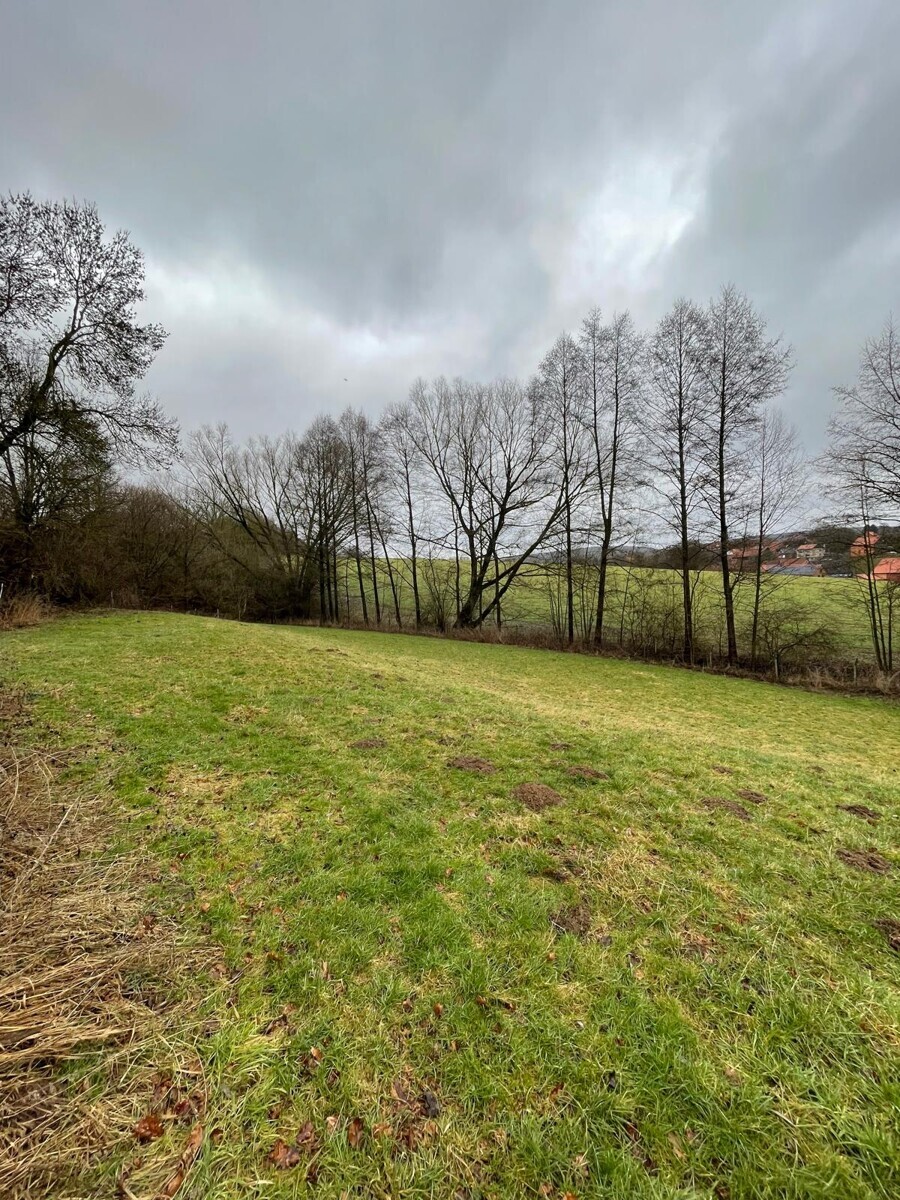 WhatsApp Image 2026-02-23 at 14.05.26 (3)