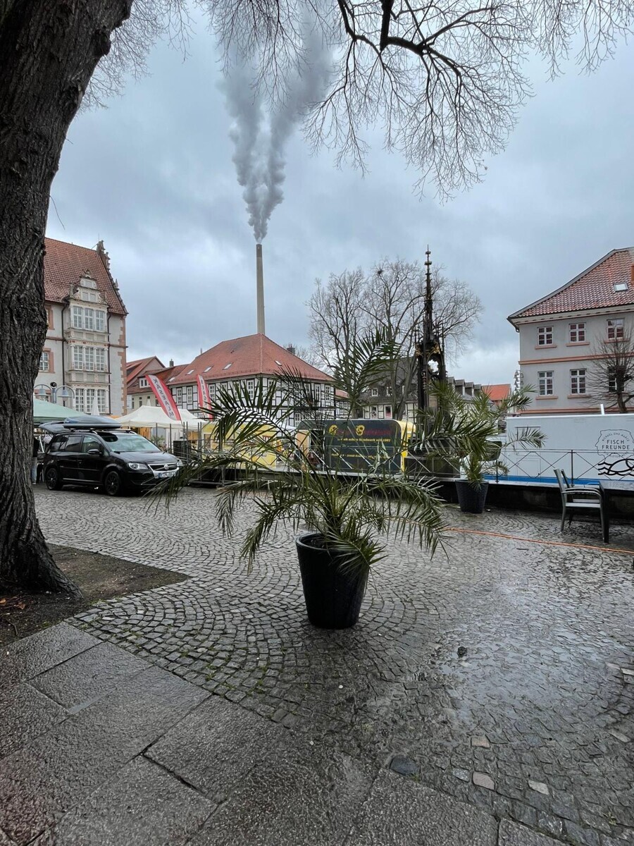 WhatsApp Image 2026-03-28 at 20.32.38