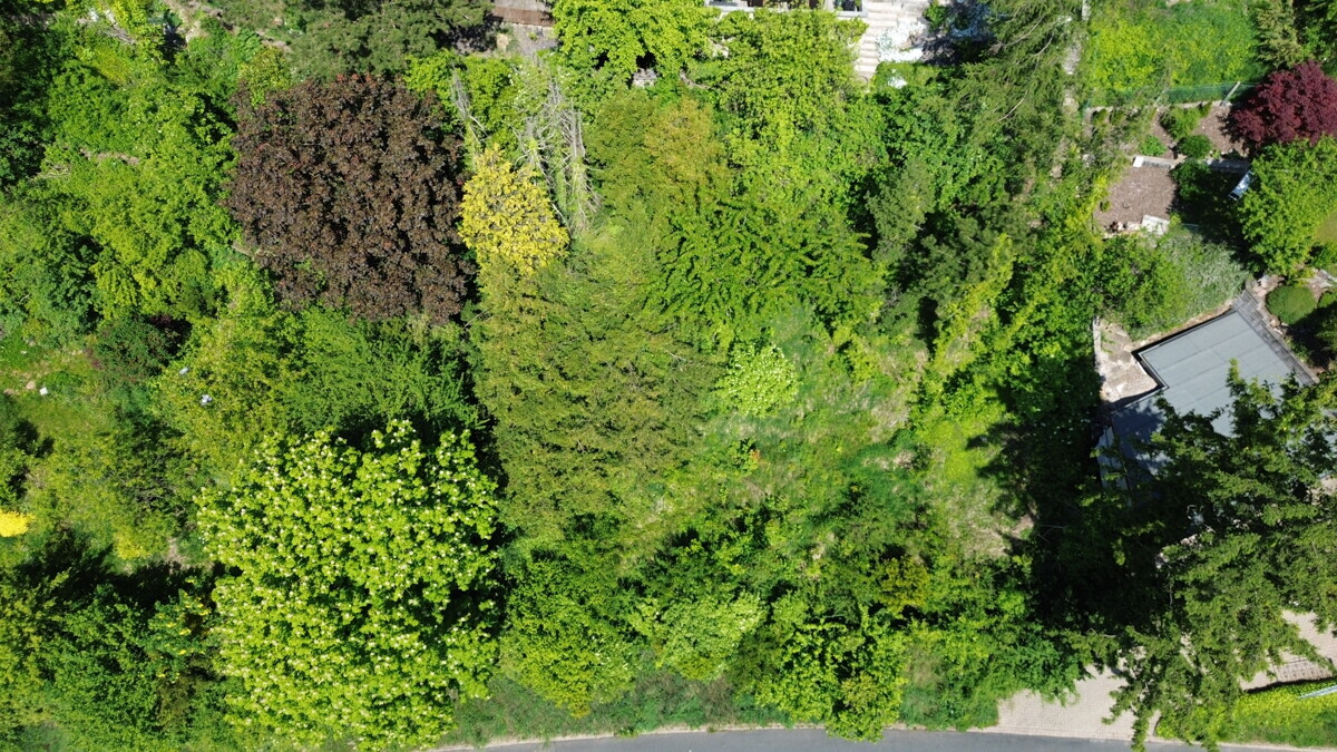 DJI_0044