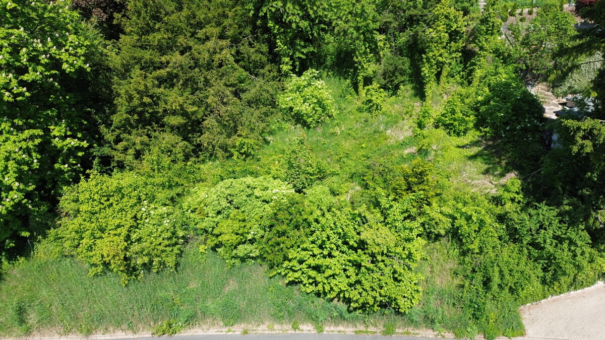 DJI_0045