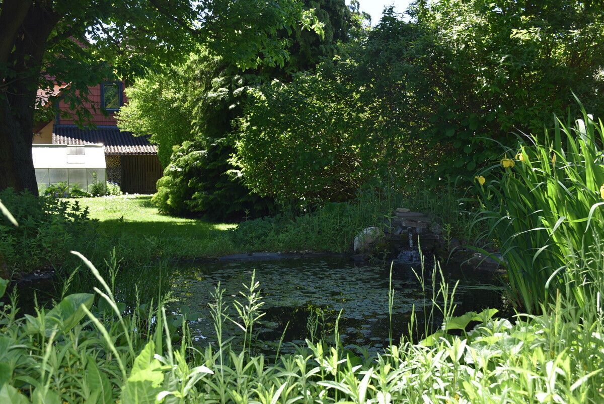 DSC_0060