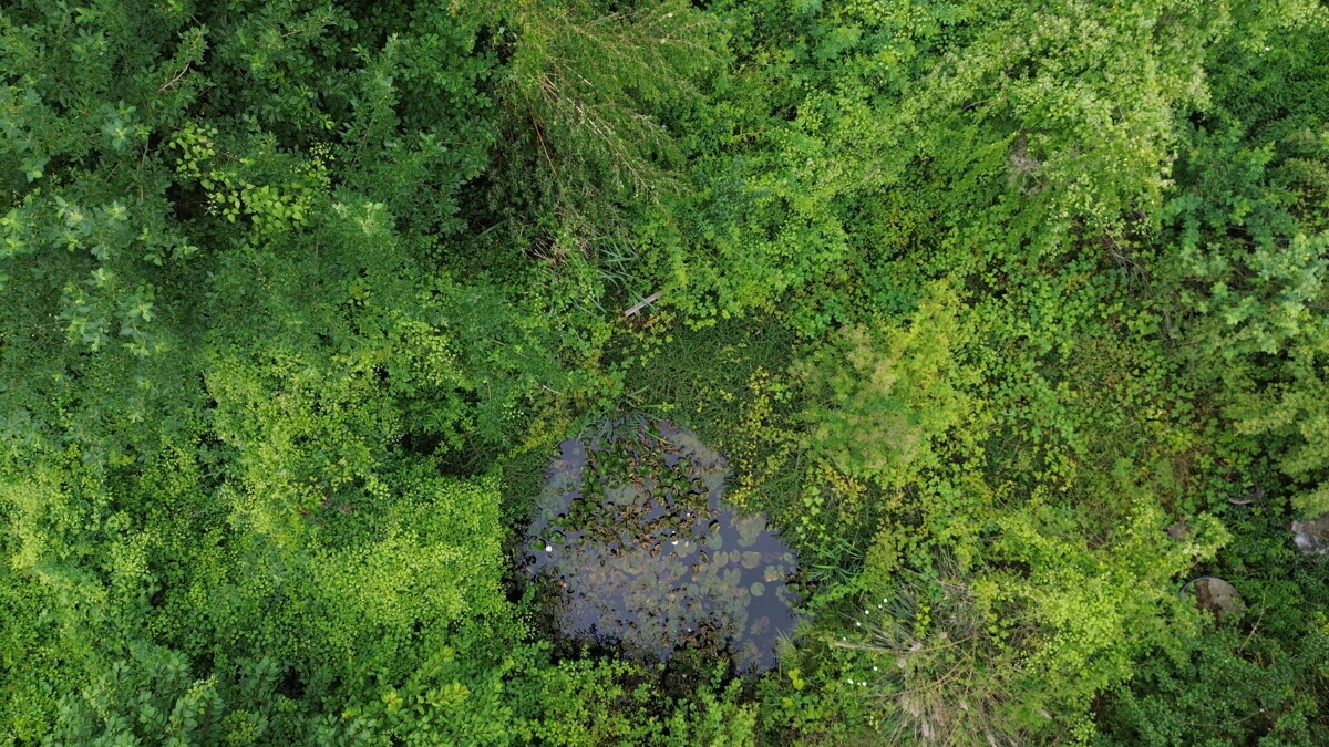 DJI_0108