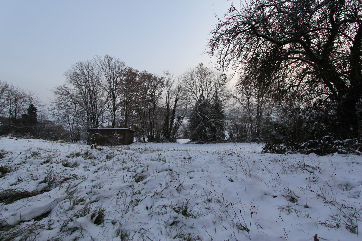 Riesiger Garten