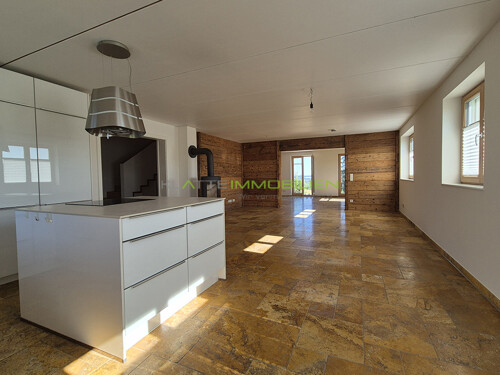 EG Offene Wohn-Essküche 06