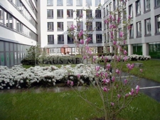 Ruhezone