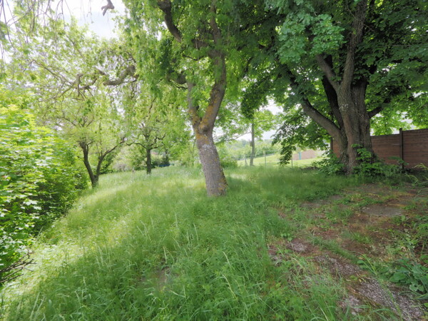 P5070033