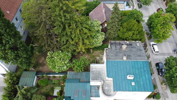DJI_0390